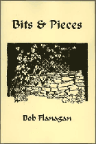 Cover of Bits & Pieces by Robert Flanagan